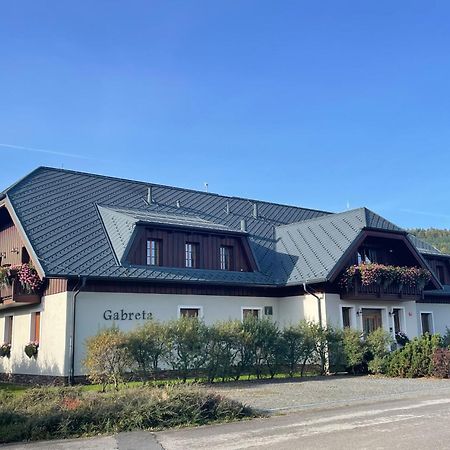 Wellness Penzion Gabreta Borová Lada Екстериор снимка